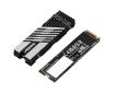 תמונה של דיסק פנימי Gigabyte AORUS Gen4 7300 SSD 2TB